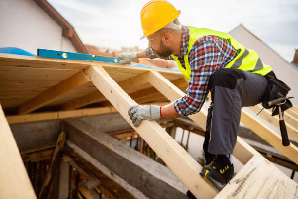 Best Roof Gutter Cleaning  in Plain City, OH